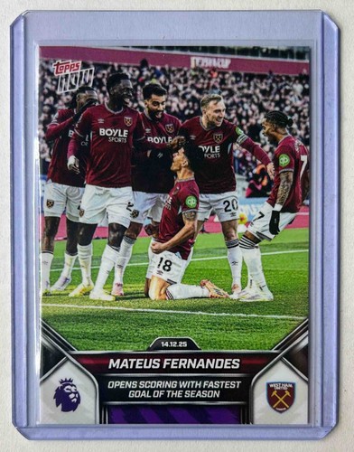Mateus fernandes 2025 - mateus, 2025-26